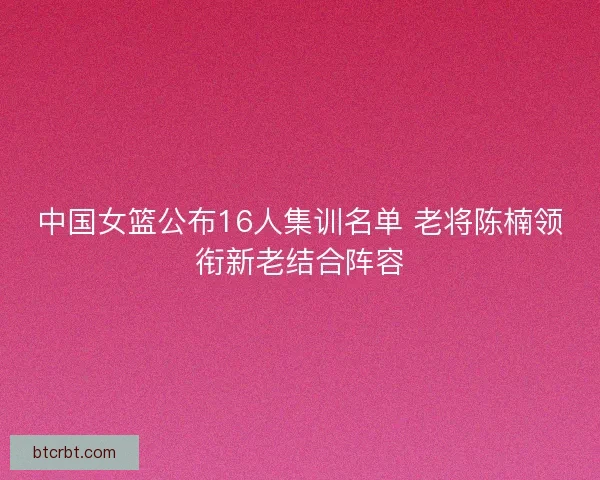 中国女篮公布16人集训名单 老将陈楠领衔新老结合阵容