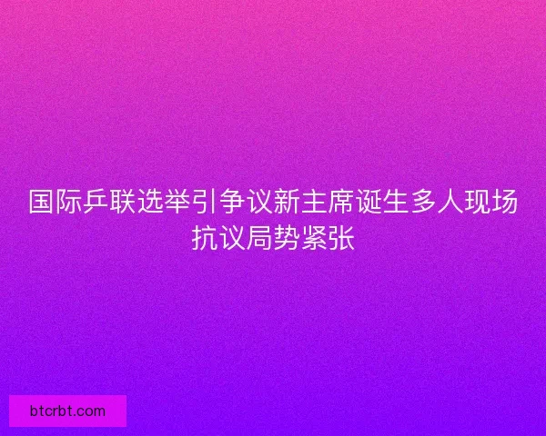 国际乒联选举引争议新主席诞生多人现场抗议局势紧张