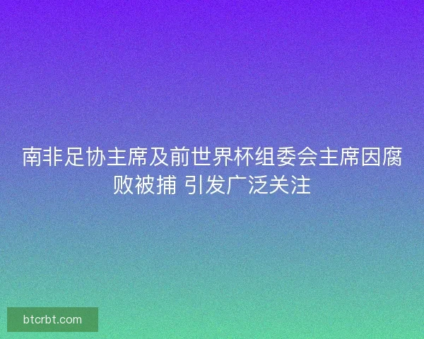 南非足协主席及前世界杯组委会主席因腐败被捕 引发广泛关注